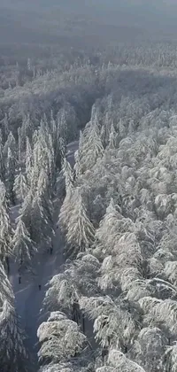 Get lost in the beauty of a snowy forest with this mesmerizing phone live wallpaper