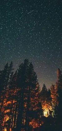 Tree Sky Astronomical Object Live Wallpaper