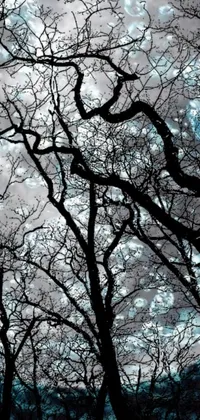 This live wallpaper for your phone features a striking black and white photograph of trees against a cloudy sky