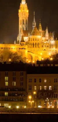 This phone live wallpaper features a beautifully lit castle at night, set against a charming Budapest street background
