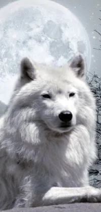 This wolf and moon phone live wallpaper depicts a white wolf sitting in front of a full moon in a snowy landscape