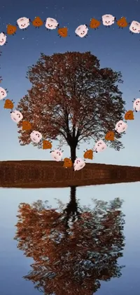 Looking for a cute and artistic live wallpaper for your phone? Check out this stunning heart-shaped tree, inspired by land art and the changing of seasons