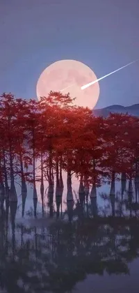 Tree Sky Moon Live Wallpaper