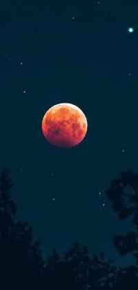 This mesmerizing live wallpaper features a blood moon rising in the night sky surrounded by trees, a wolf howling in the distance, and a horse and peach emoji, and rocket emojis soaring past the moon