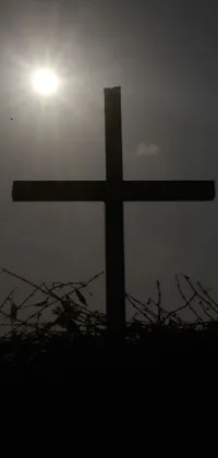 This live phone wallpaper showcases a powerful image of a cross with the sun in the background
