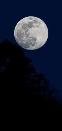 This live phone wallpaper features a breathtaking full moon set against a serene night sky with trees in the foreground