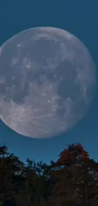 Get lost in the mesmerizing beauty of the full moon with this phone live wallpaper