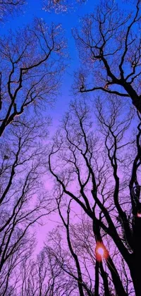 Tree Sky Purple Live Wallpaper