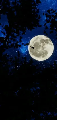 This live phone wallpaper depicts a flying bird in front of a full moon over a woodland
