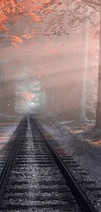 This phone live wallpaper boasts a stunning digital art image of a train track that meanders through a tranquil forest