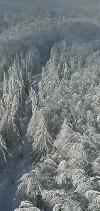 Immerse yourself in a winter wonderland with our Snow Covered Forest Live Wallpaper