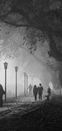This phone live wallpaper showcases a serene, black and white photograph of a group of people walking through a park on a foggy day