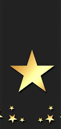 Add a touch of sophistication and glamor to your phone's screen with this stunning black live wallpaper featuring a captivating gold star and surrounding smaller stars that glitter and twinkle to add that bit of magic