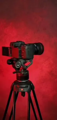 Tripod Camera Camera Lens Live Wallpaper