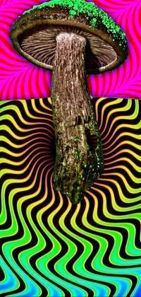 trippy mushroom background