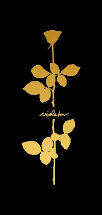 This phone live wallpaper features a minimalist design of a magnificent gold rose contrasted against a black background