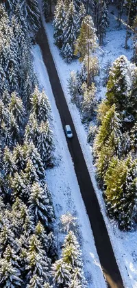 This live wallpaper showcases an aerial view of a road cutting through a dense forest, covered in snow and illuminated by the sun