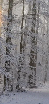 Immerse yourself in a serene winter paradise with this phone live wallpaper