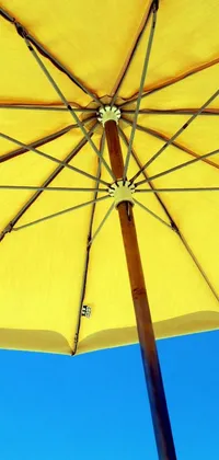 Umbrella Sky Wheel Live Wallpaper