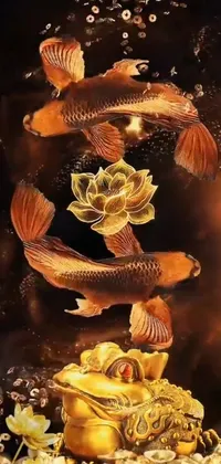 Underwater Art Marine Biology Live Wallpaper