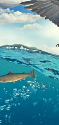 Underwater Ocean Sea Live Wallpaper