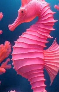 Underwater Organism Marine Invertebrates Live Wallpaper
