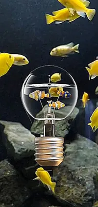 Underwater Yellow Fin Live Wallpaper