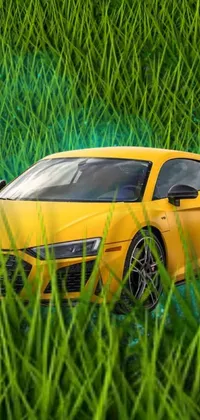 audi with grass Live Wallpaper