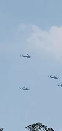 This phone live wallpaper showcases a group of helicopters soaring through a bright blue sky, perfect for aviation enthusiasts