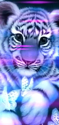 Vertebrate Bengal Tiger Siberian Tiger Live Wallpaper
