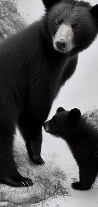 This live phone wallpaper features a stunning black bear standing next to an adorable baby bear in a beautiful, black and white portrait