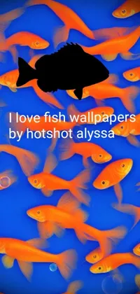 This live phone wallpaper showcases a group of fish swimming together in a detailed underwater setting
