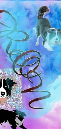 Vertebrate Blue Dog Live Wallpaper