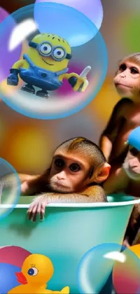 This live wallpaper for phones features a lively scene of several monkeys playing within a bubbling tub