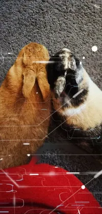This live wallpaper showcases two playful dogs on the floor, captured in a 3/4 view from below