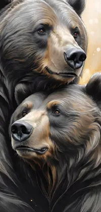 Vertebrate Carnivore Grizzly Bear Live Wallpaper