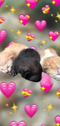 This delightful live wallpaper features two cute cats cuddling atop a heart-shaped pile of love! Set on a dreamy background image with shining stars, this Tumblr-inspired design is perfect for cat lovers