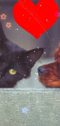 If you're a fan of adorable animals and romanticism, this phone live wallpaper will charm you