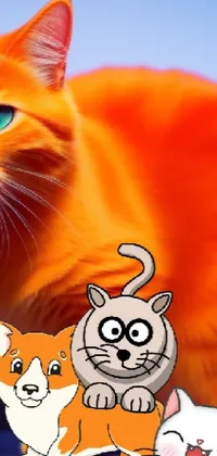 Vertebrate Cat Orange Live Wallpaper