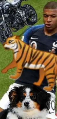 Vertebrate Dog Bengal Tiger Live Wallpaper