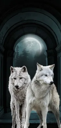 This stunning phone live wallpaper showcases two regal white wolves standing together in the moonlight