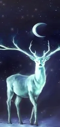 Vertebrate Elk Nature Live Wallpaper