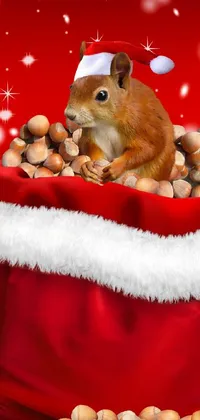 Enhance your device's screen with this adorable phone live wallpaper! Featuring a digital rendering of a lively squirrel lounging in a bag brimming with nuts, including acorns, it will certainly bring a sense of cheer to your mobile device