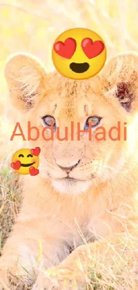 This captivating live wallpaper showcases a close-up of a lion with a smiley face on its forehead, adding a fun touch to this majestic animal's regal features