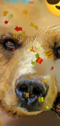 bear Live Wallpaper