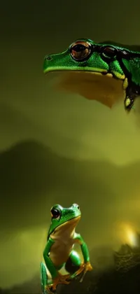 This mobile live wallpaper shows two stunning and realistic frogs perched on a rock