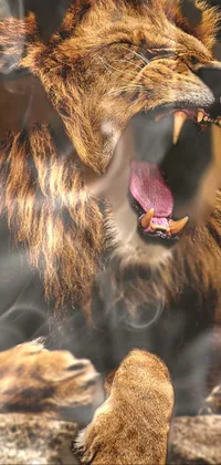 Vertebrate Jaw Fang Live Wallpaper