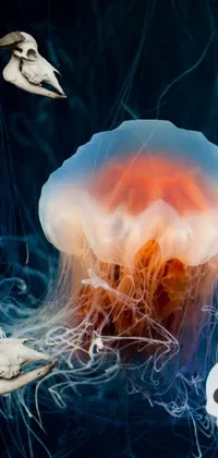 Vertebrate Jellyfish Light Live Wallpaper