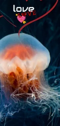 Vertebrate Jellyfish Organism Live Wallpaper
