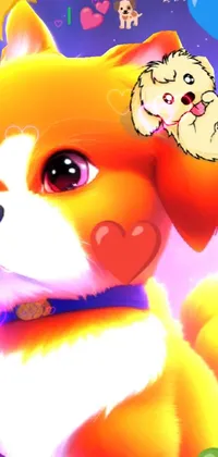 This live wallpaper depicts a close-up of a furry, orange corgi with a balloon-filled background